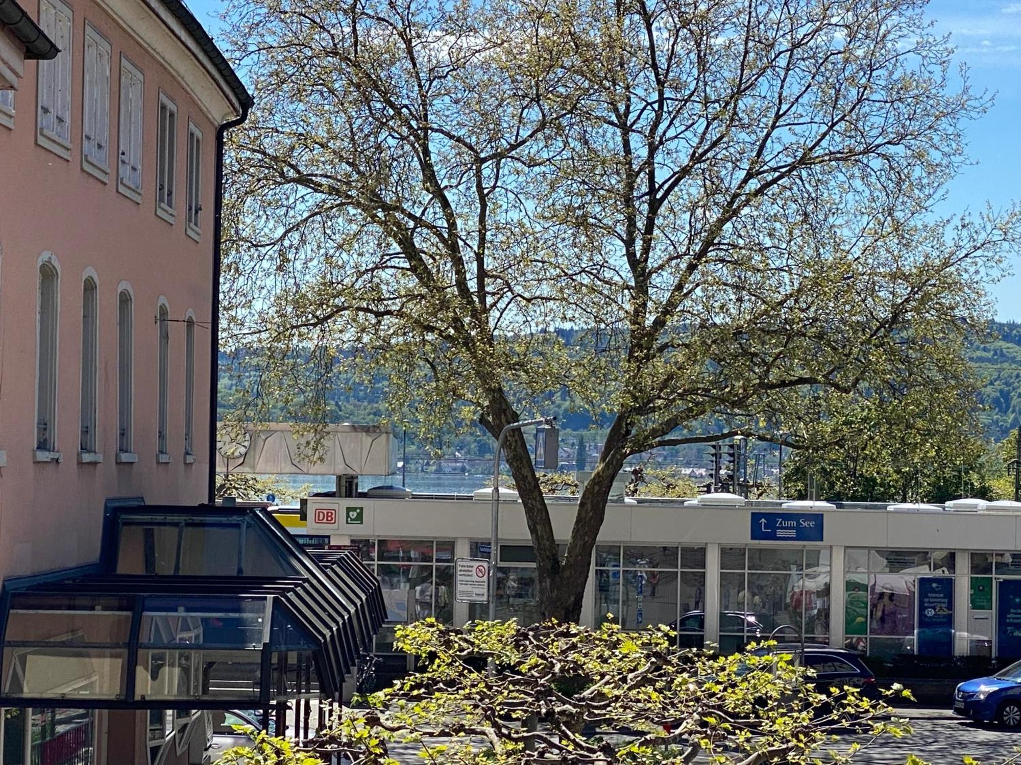 Ferienwohnung Seeromantik In 2 Minuten Am See Radolfzell am Bodensee Exterior photo